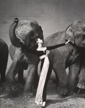 Circus Photo by Richard Avedon - Dovima with Elephants, Evening Dress by Dior