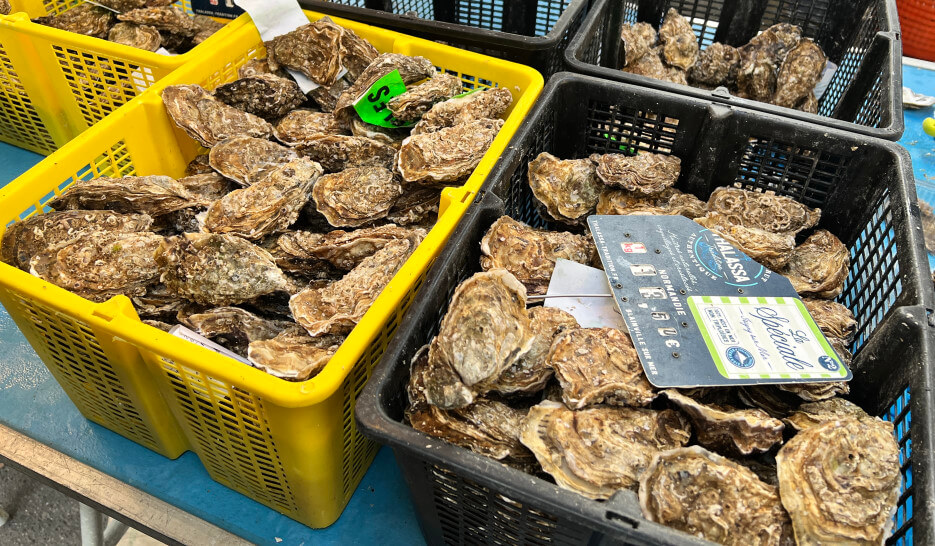 An oyster seller's stall at the Bastille Market in Paris