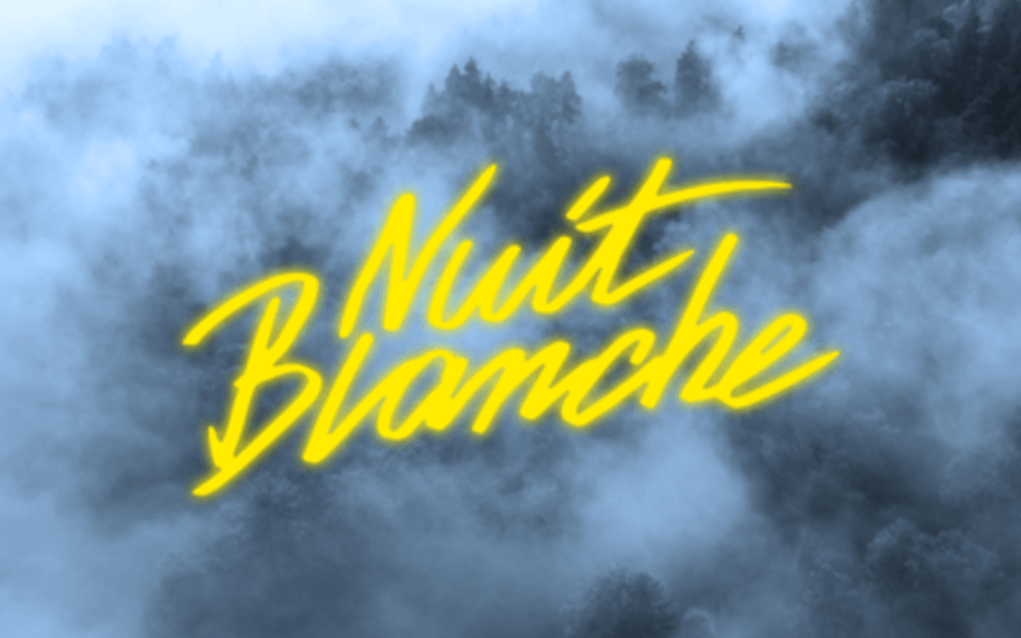Poster for Nuit Blanche in France