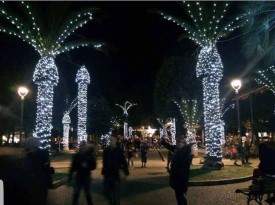 Christnmas on Palm Trees in Nice, France