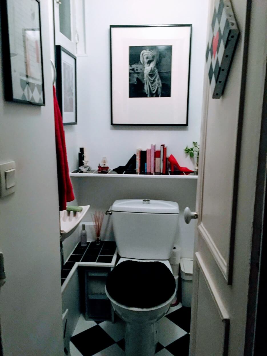 Photo of Adrian Leeds' water filled toilet in Paris