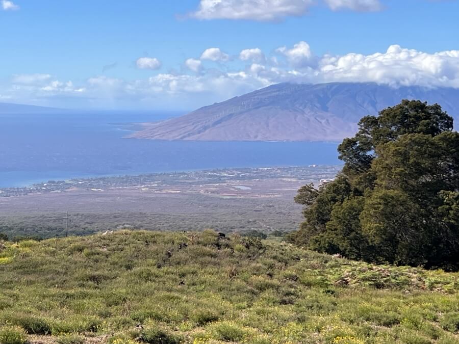 View of Maui, Hawaii
