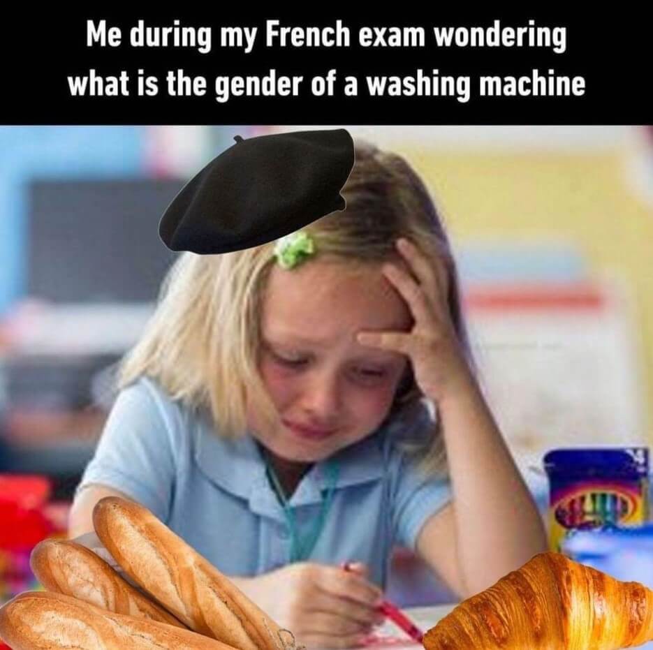 Meme for a French test, wondering what is the gender for a washing machine