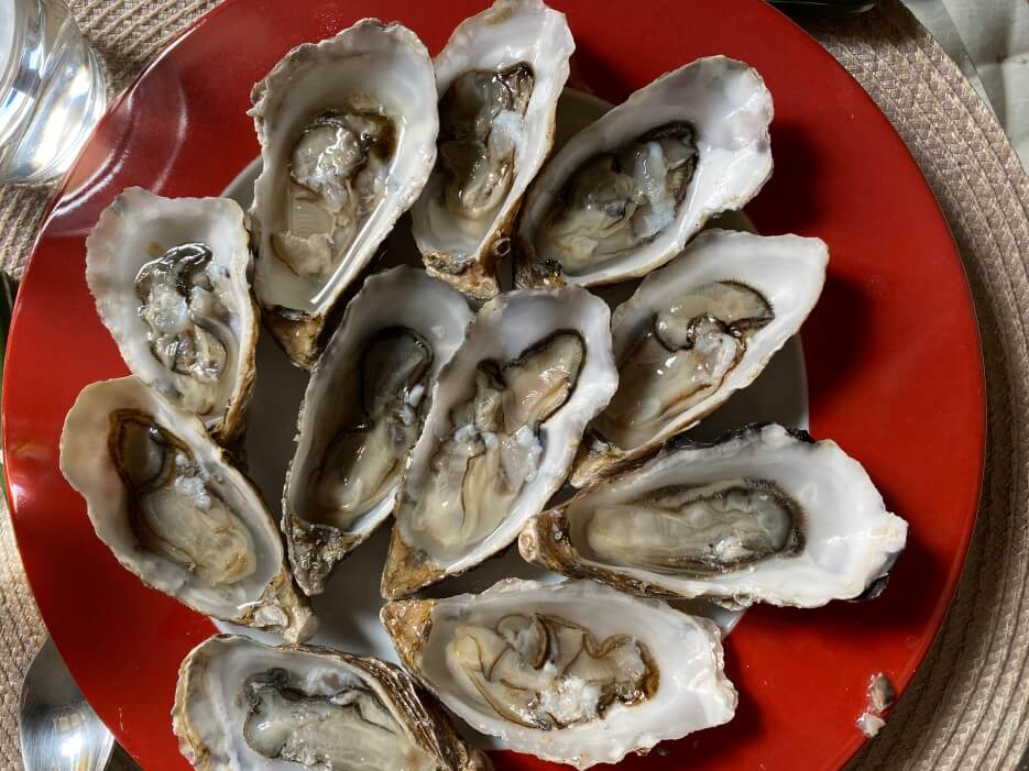Plate of French oysters in Paris