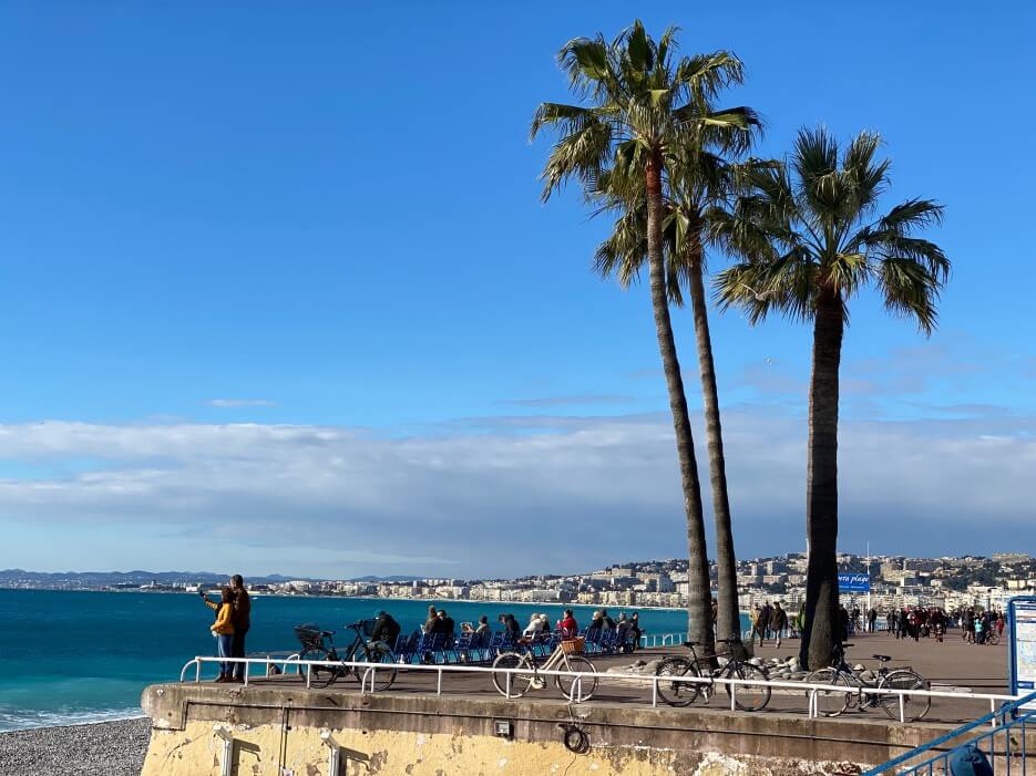 Palm trees along the Promenade des Anglais