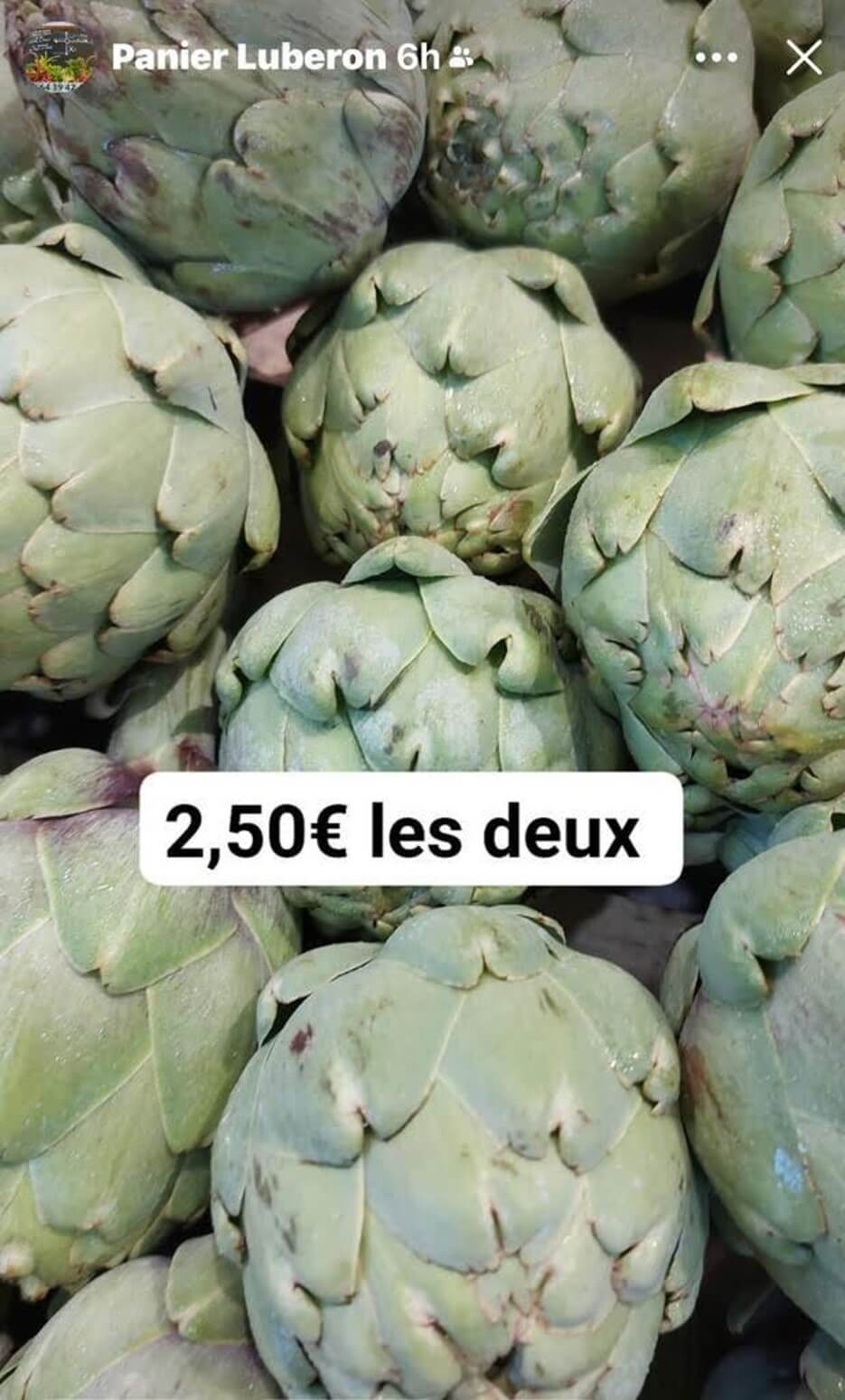 Adrian Leeds scores a great price for artichokes at a market in Nice, France