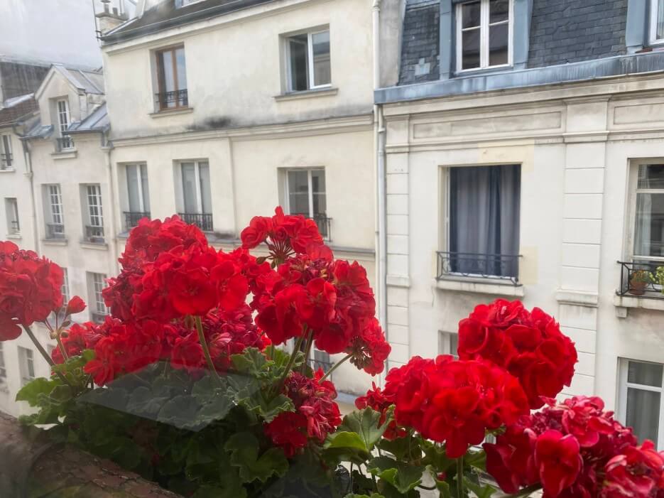 Geraniums in the flower boxes outside Adrian Leeds' apartment in Paris