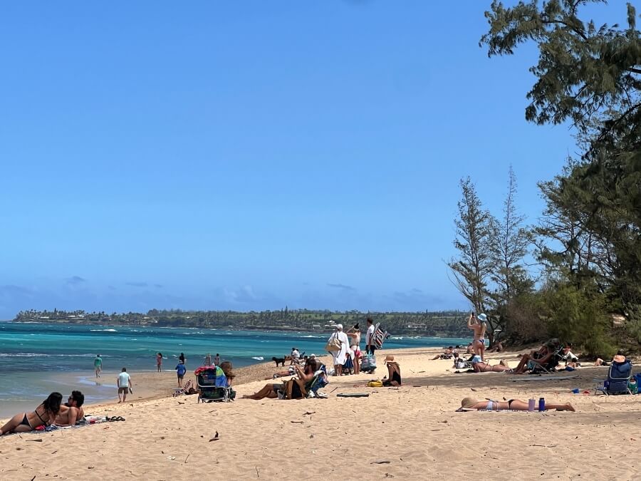 A beach in Maui, Hawaii