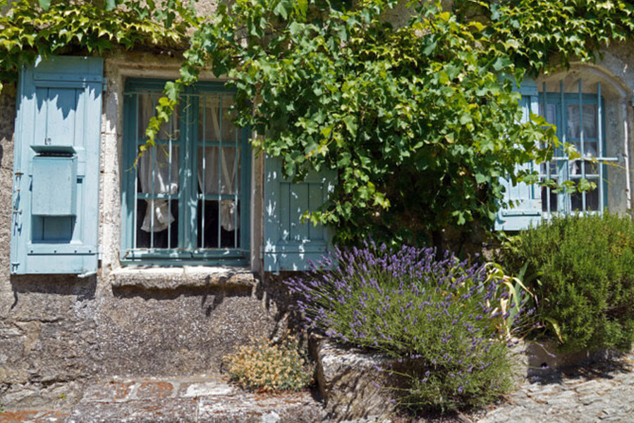 Lavender around a house in Provence