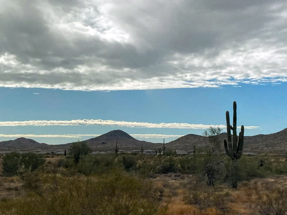 The Saguaro Desert, Arizona