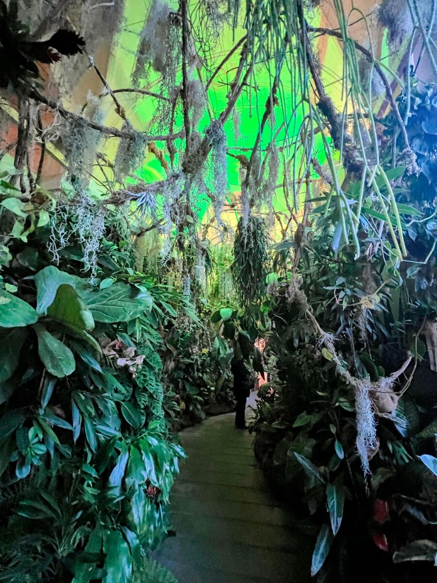 The Salgodo rain forest installation on exhibit at the Hôtel de Ville in Paris, France