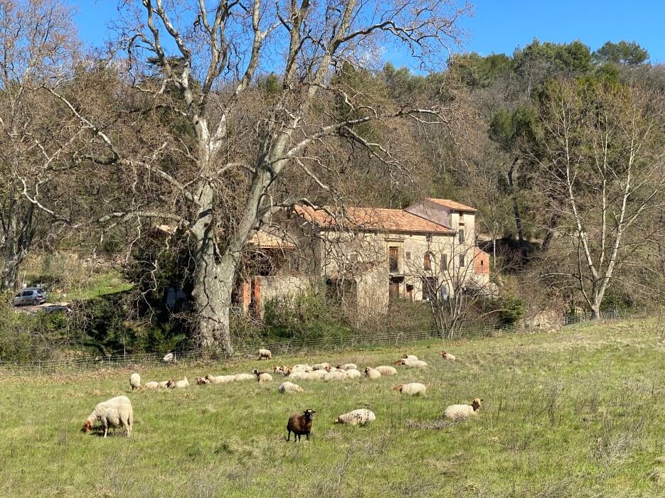 Photo of a bucolic setting in Provence