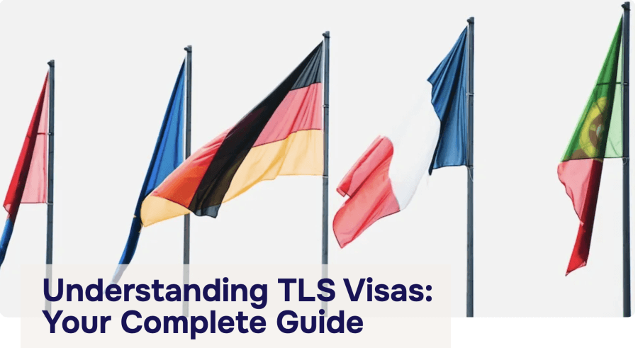 Meme for the TLS guide to obtaining a visa