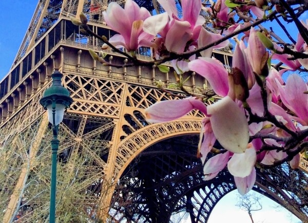 Paris, France Eiffel tower in spring