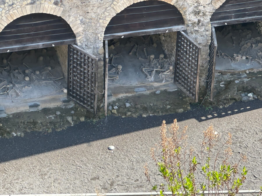 Skeletal remains preserved in a boat house in Herculaneum