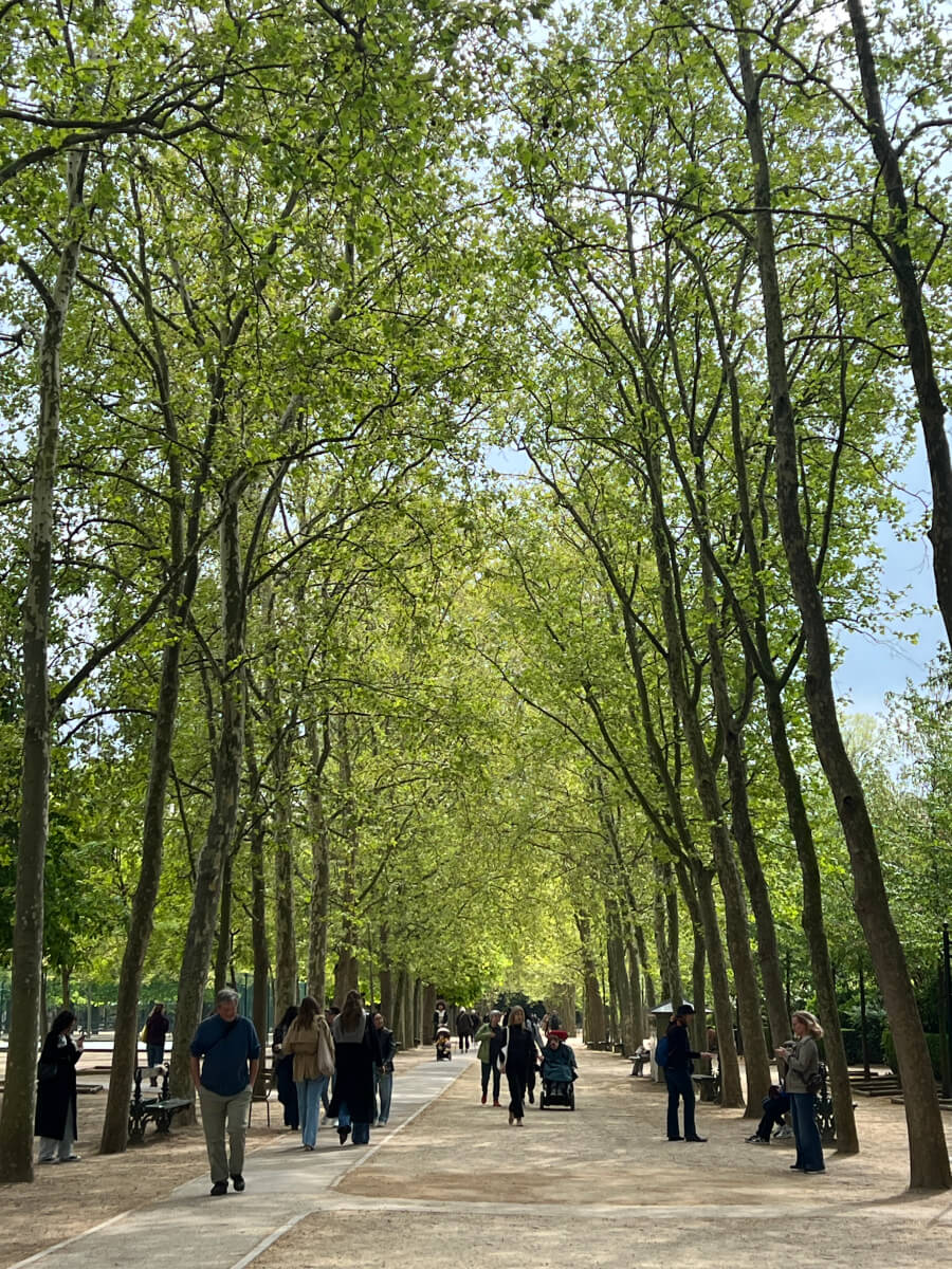The Luxembourg gardens in Paris