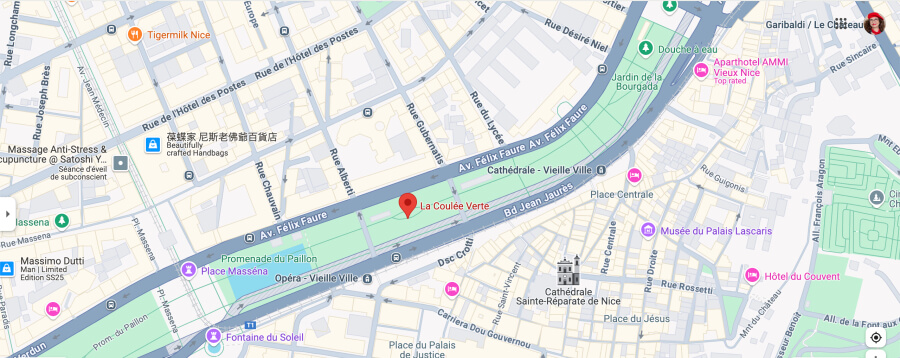 Google map pinpointing the location of Adrian Leeds' May Day picnic on the grass in Nice, France