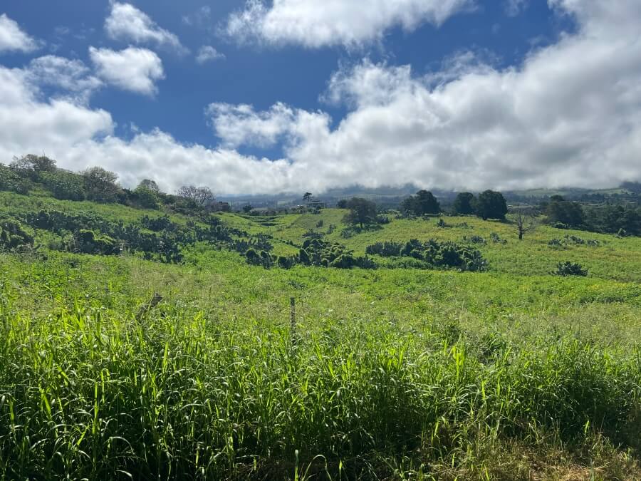 The Upcountry on Maui, Hawaii