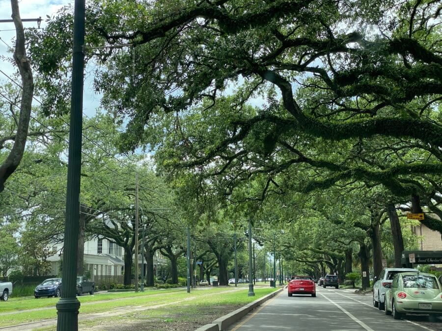Saint Charles Avenue in New Orleans