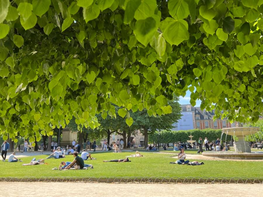 Spring at the Place des Vosges in Paris