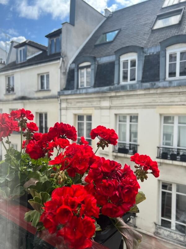 The geraniums outside the window of Adrian Leeds' apartment in Paris
