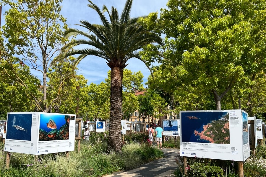 Signs posted around Nice for the United Nations' Ocean Conference in Nice, France