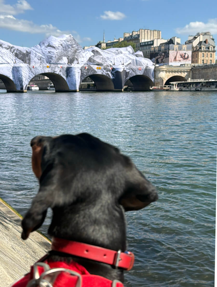 Gaspard anticipates June 6th when he can walk through it!...Photo by Diane Carruthers