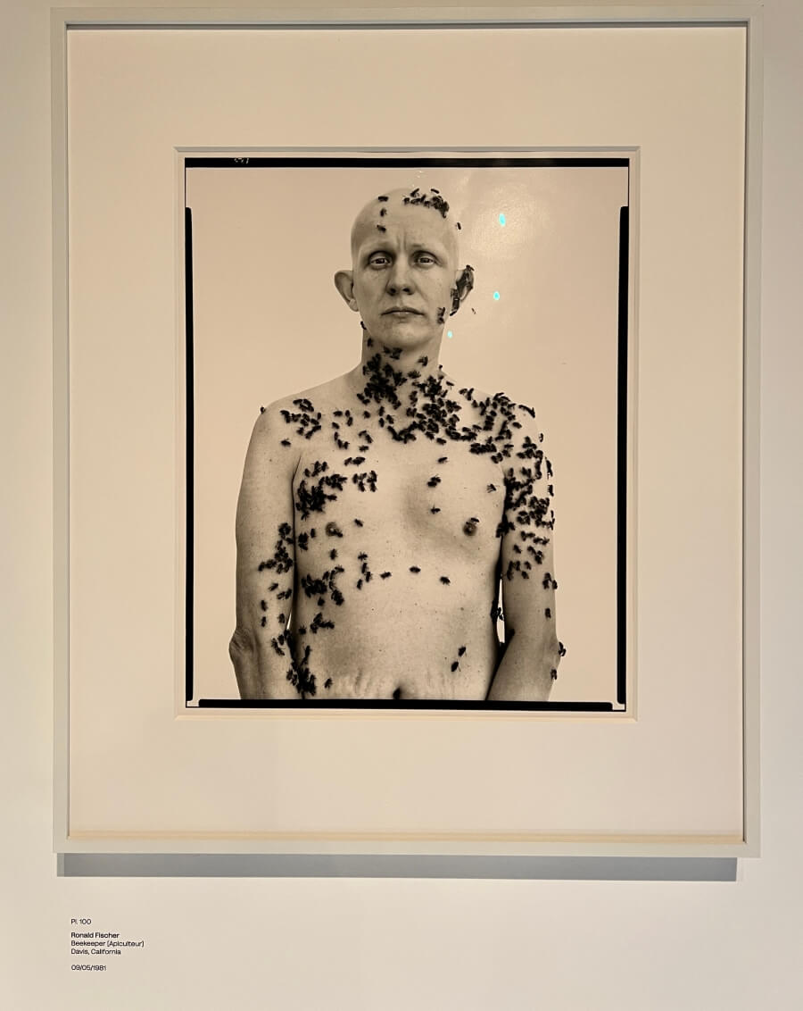 Avedon photograph of man covered in bees