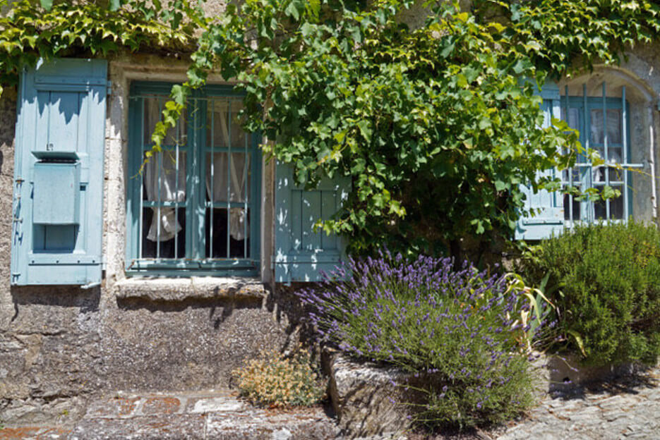 Photo of a blue trimmed window in a house in the south of France with lavender growing alongside