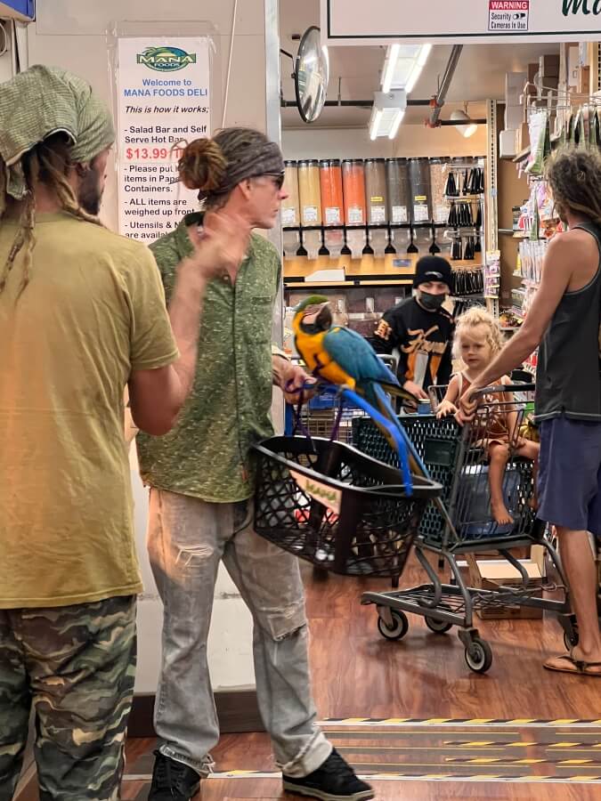 People watching at Mana Foods market on Maui, Hawaii