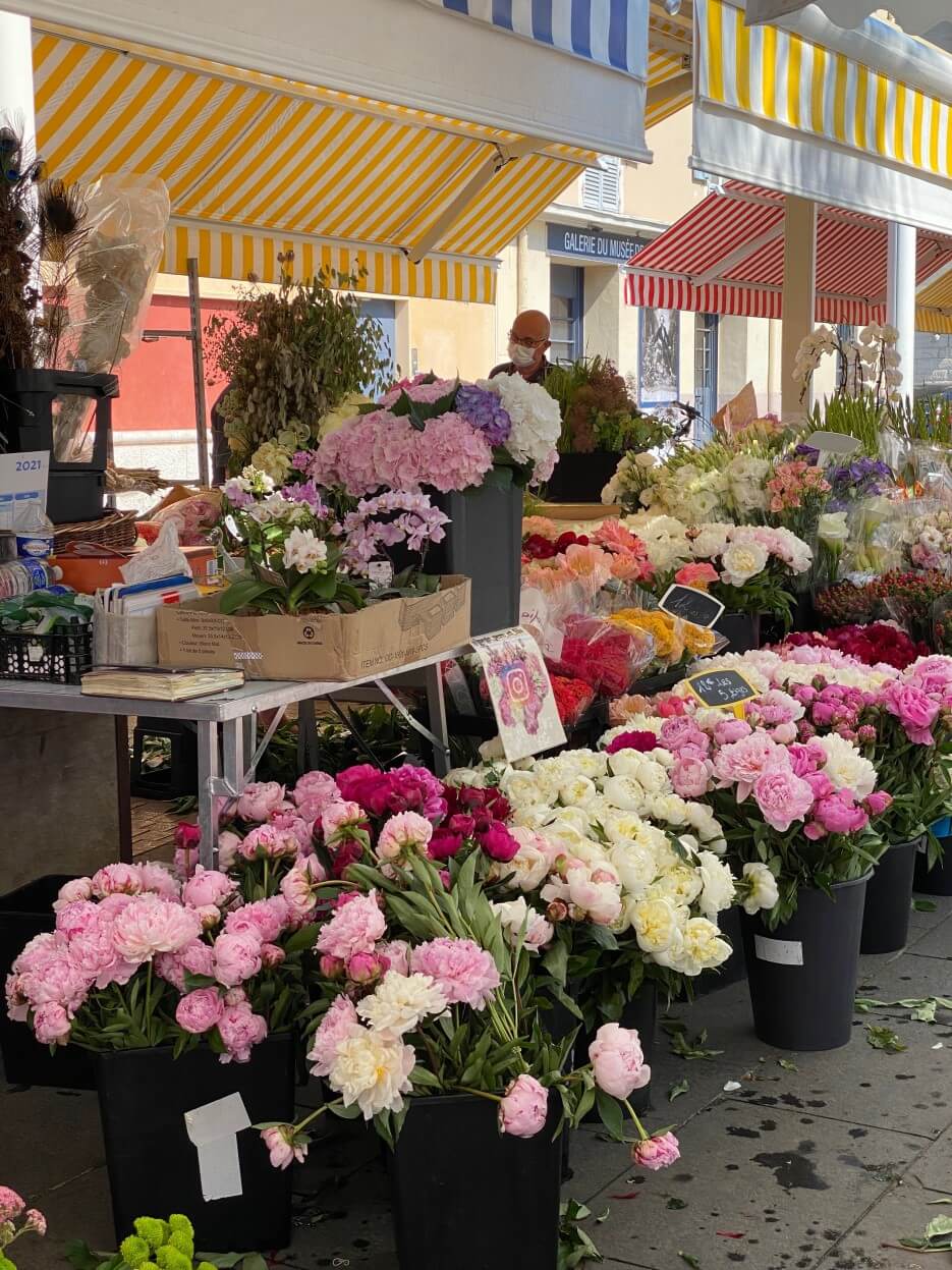 Photo of Peonies for sale on the Cours Saleya