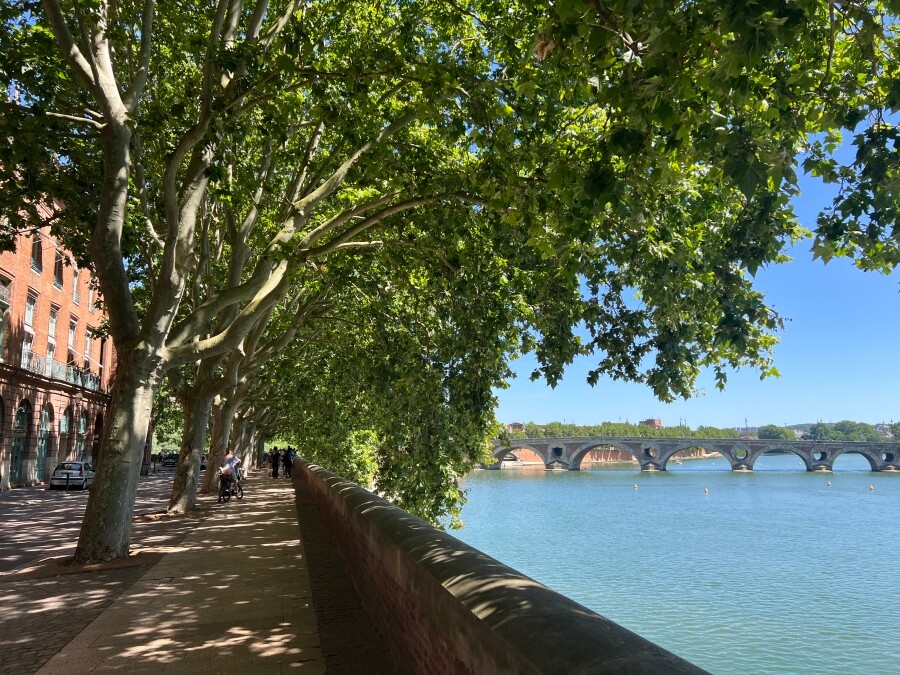 Tree-lined riverbank in Toulouse, France