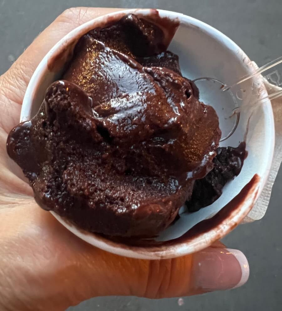 Berthillon's Cacao Amer Sorbet