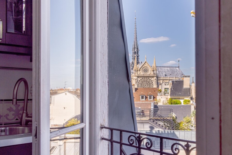 View of Notred Dame de Paris from the window of the apartment for sale in Paris