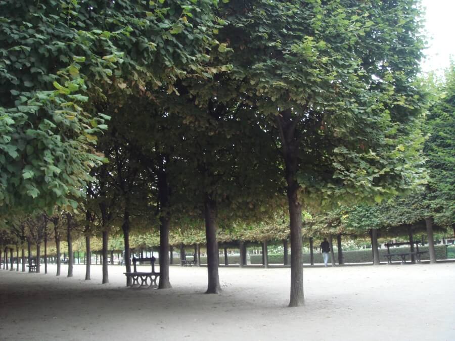 An empty park during summer vacation period in Paris, France