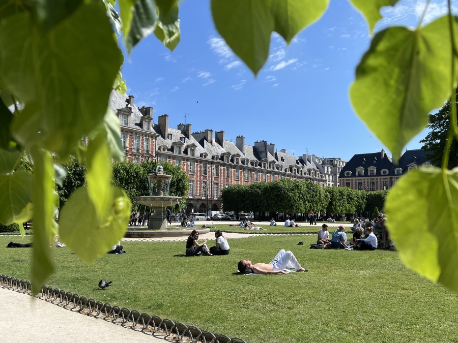 Sunning on the lawn at Place des Vosges in Paris