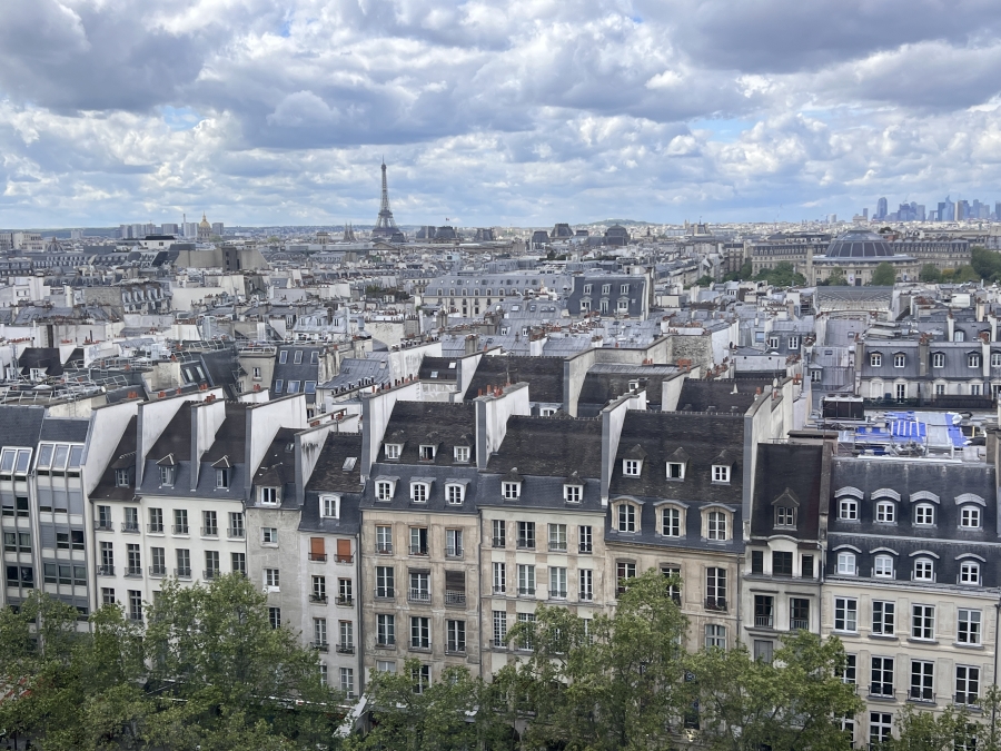 View over the rooftops of Paris apartment buildings