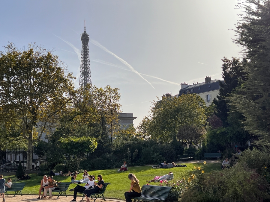 View of the Eiffel Tower in Paris through a lush garden