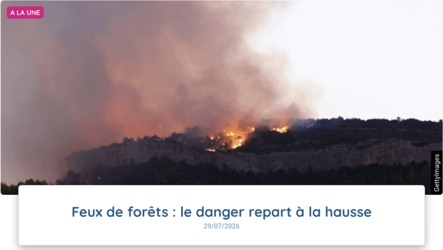 Summer fires in France