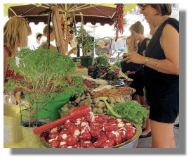The market in Saint-Rémy-de-Provence