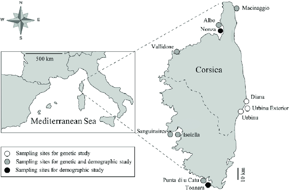Map-showing-the-location-of-Corsica-NW-Mediterranean-Sea