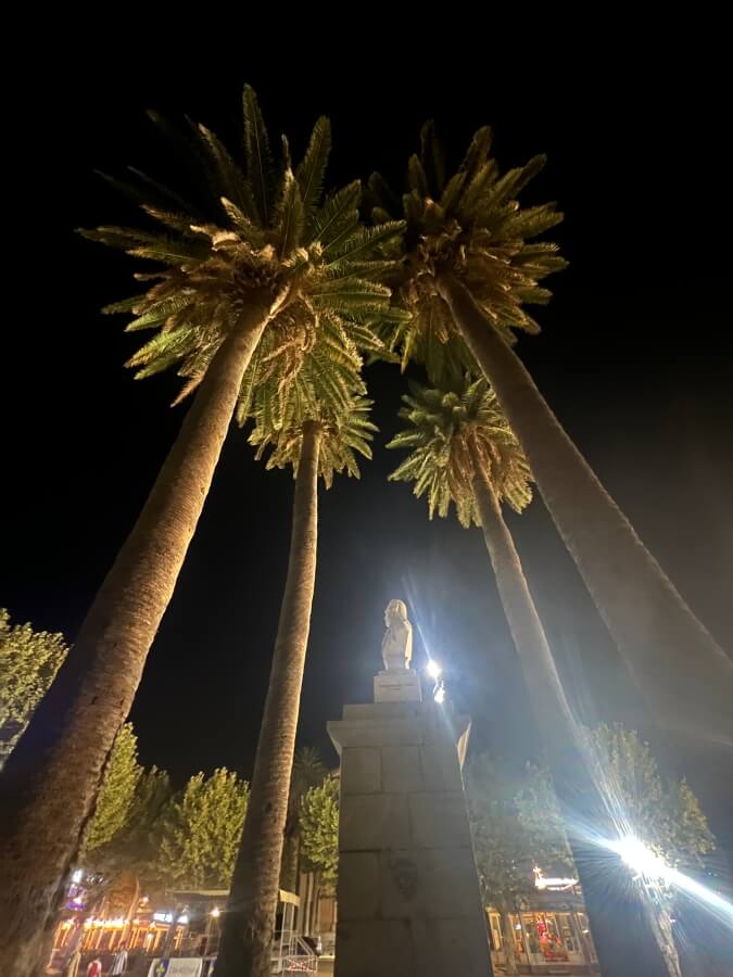 The palms trees at Place Paioli in L'Île-Rousse