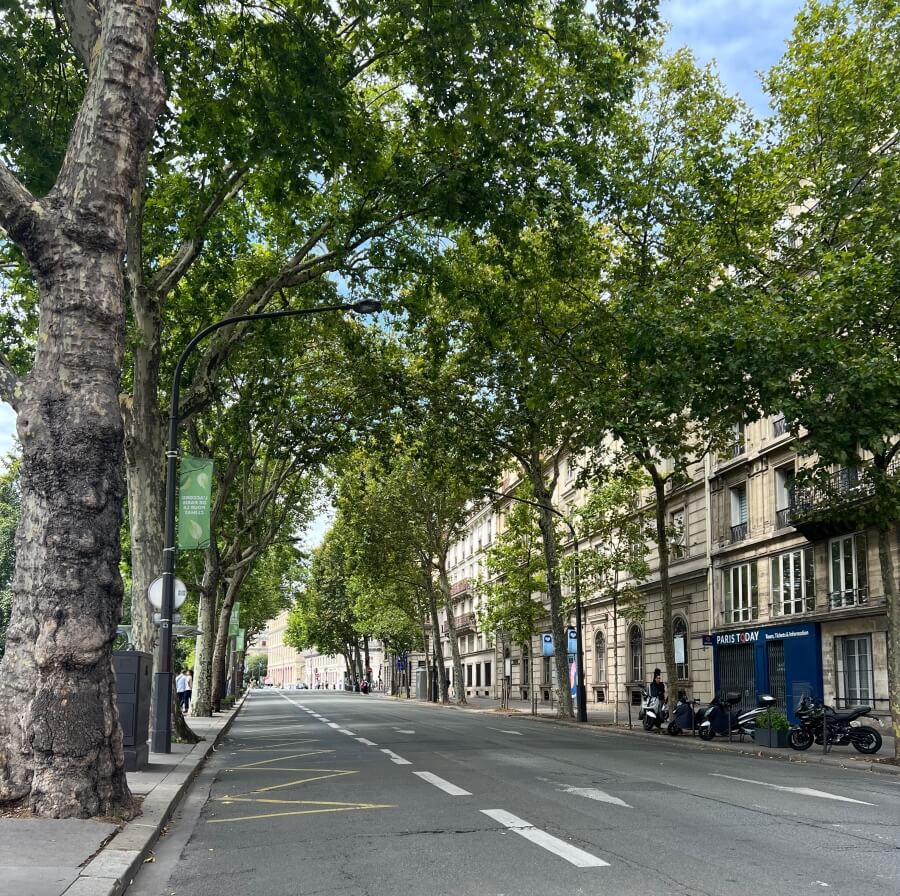 View down the empty Quai de la Megisserie in Paris