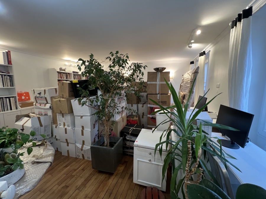 More boxes, plants, and furniture piled up in the middle of Adrian Leed's apartment in Paris