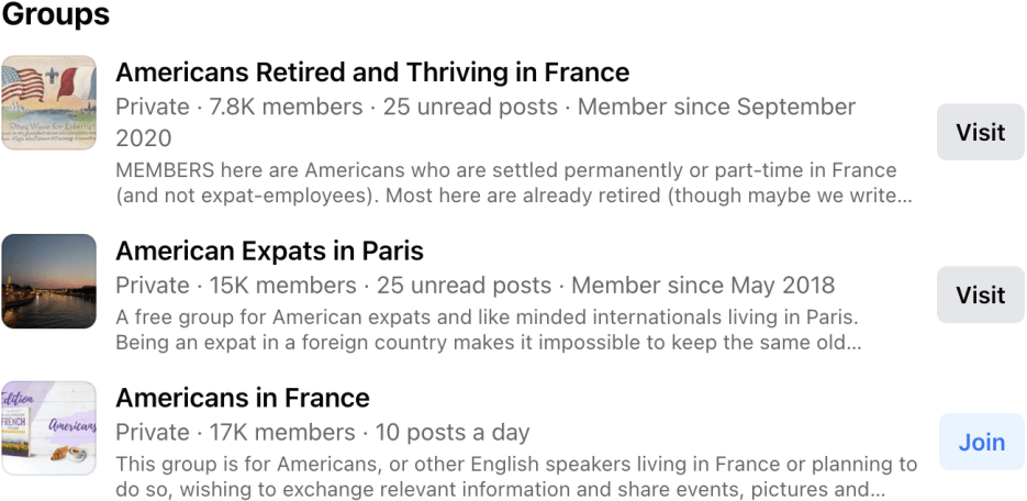 Examples of social media groups for France