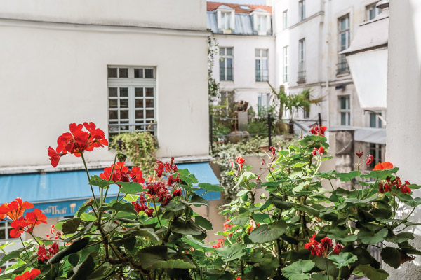 View of a flower box of a Paris apartment window