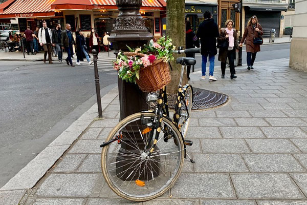 Bike parked next to a street light in Paris flowers in the basket