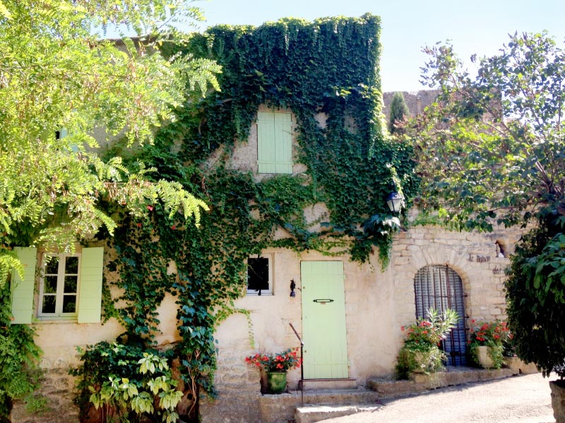 Ivy covered old French house