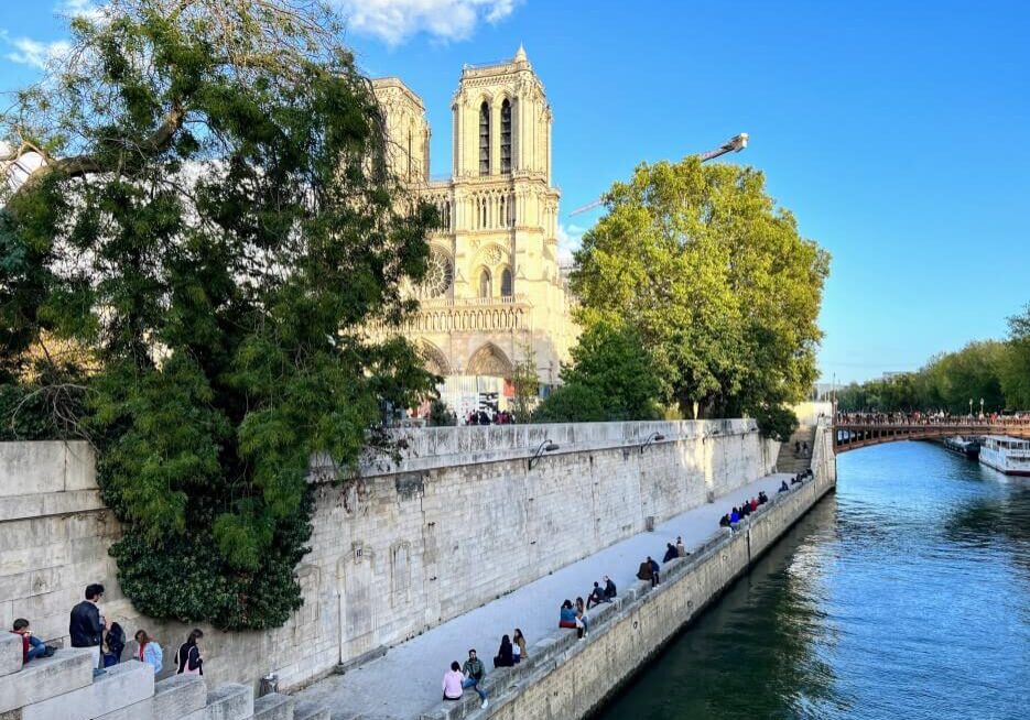 View of Notre Dame in Paris from the river