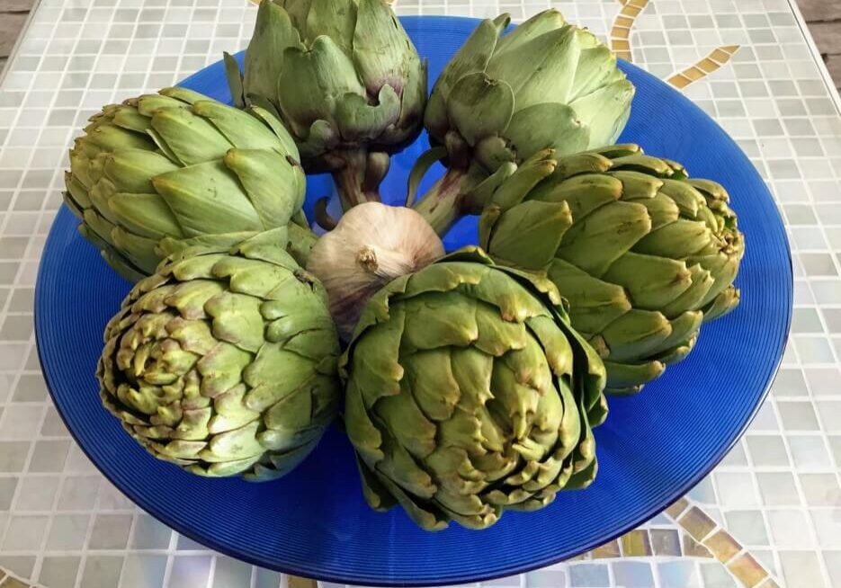A bowl of uncooked artichokes